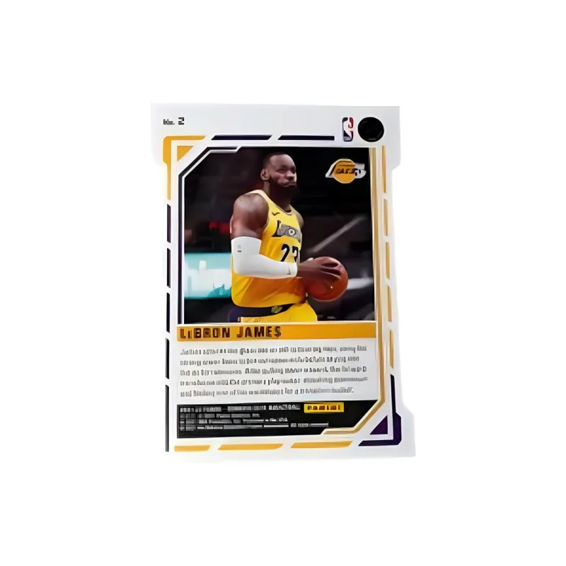 PANINI Sports Cards-2