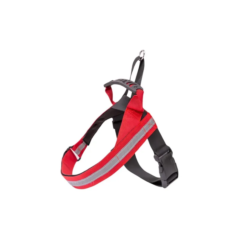 Hippie dogs Leashes-2