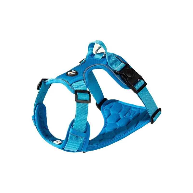 Hippie dogs Leashes-3