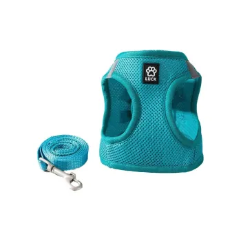 Hippie dogs Leashes