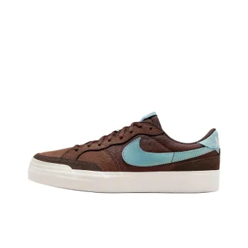 Nike SB Zoom Pogo Anti Slip Wear Resistant Low Top Skateboard Shoes Women's Brown Blue