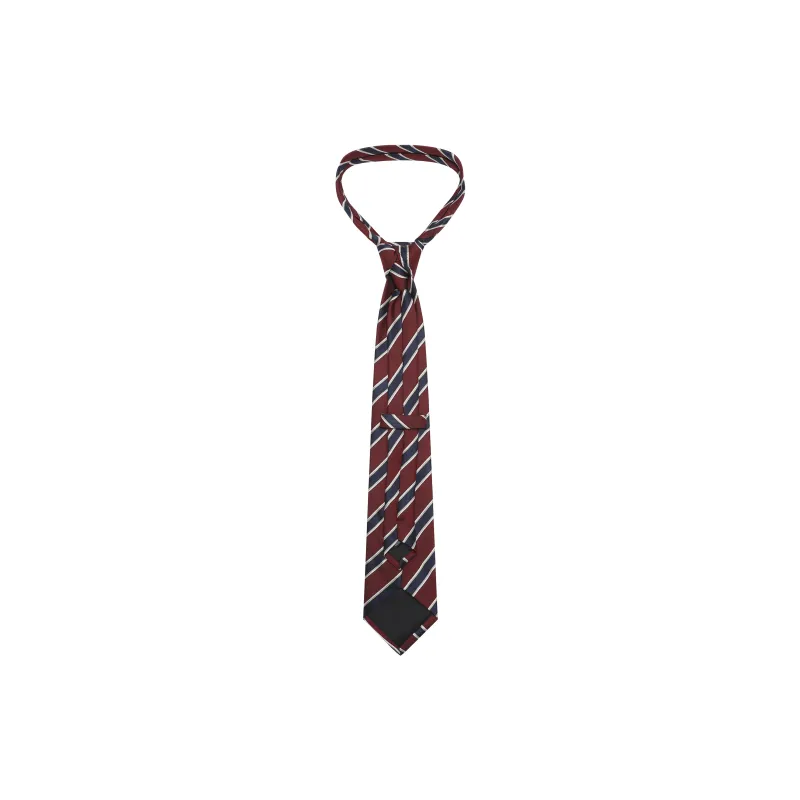 AXYPAGES Polyester Fabric Ties Unisex-7