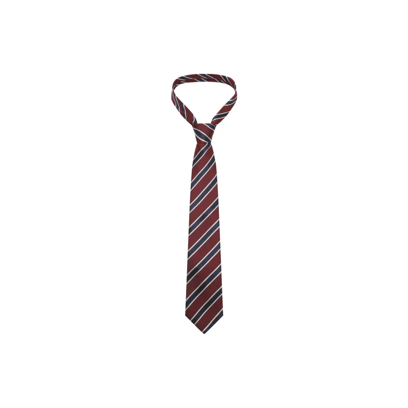 AXYPAGES Polyester Fabric Ties Unisex-6