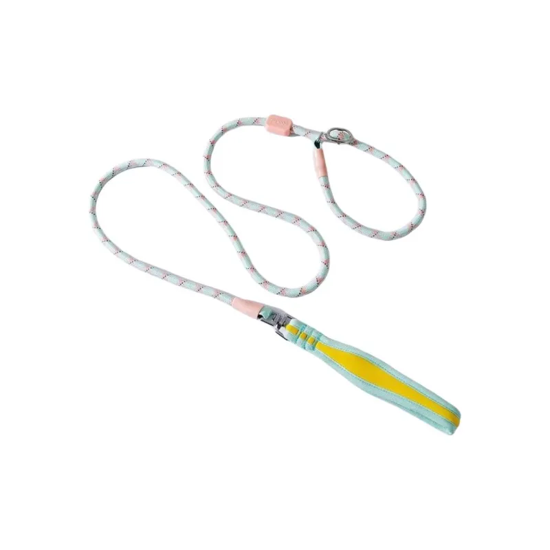 Hippie dogs Leashes-5