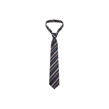 AXYPAGES Polyester Fabric Ties Unisex