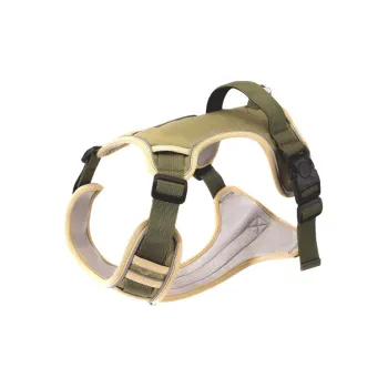 Hippie dogs Leashes