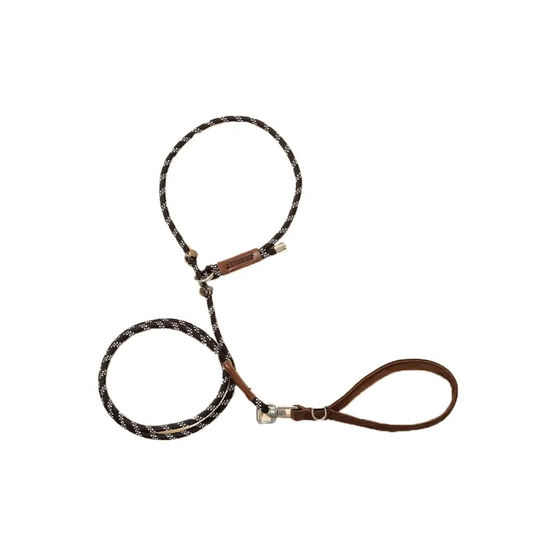 Hippie dogs Leashes-13