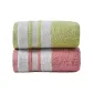 2-Pack (Begonia Red Towel *1, Grass Green Towel *1)