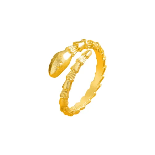 Welcome To The Treasure Alloy Prosperity And Fortune Success In Studies And Career Delicate Correction Ring Unisex