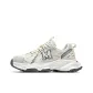 Beige Gray