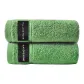 Green Towel 2 Pack
