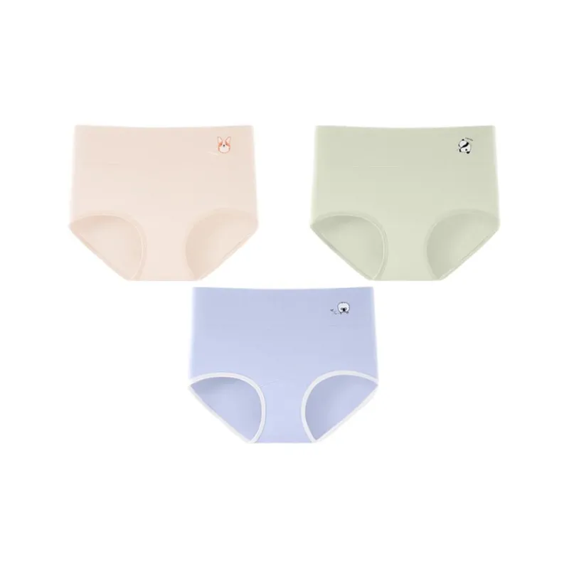 Urban Beauty Underpants Women's 3 Pack-13