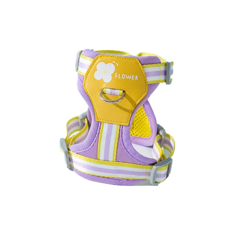 Hippie dogs Leashes-4