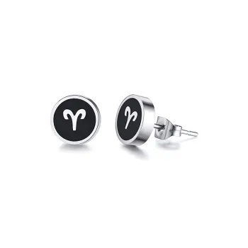FANSHINER Titanium Steel Stud Earrings Men's