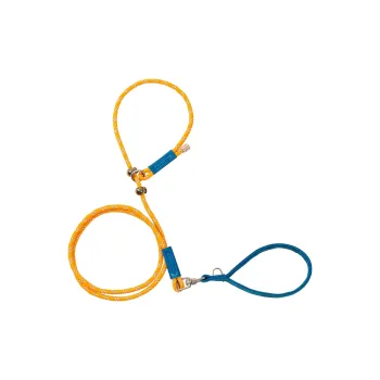 Hippie dogs Leashes