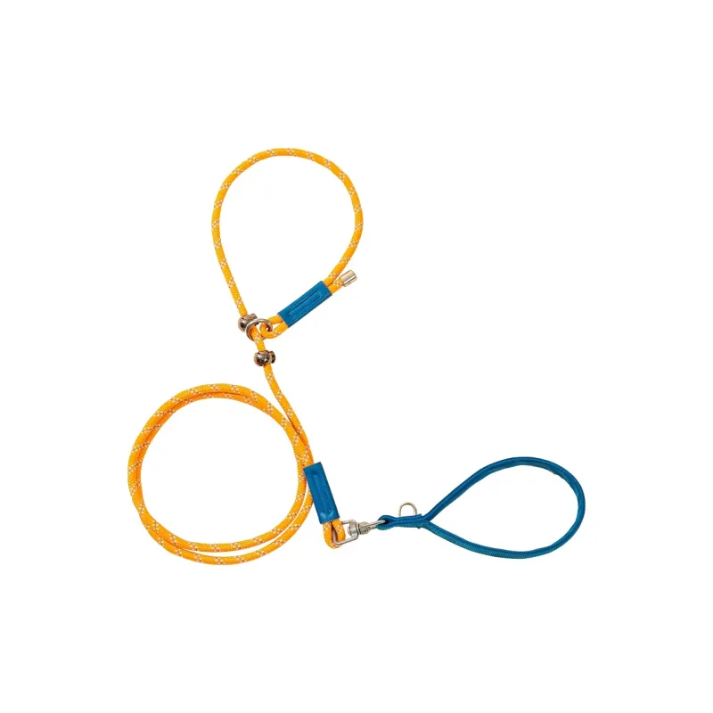 Hippie dogs Leashes-0
