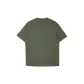 E03 Thyme Green