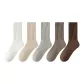 5 Pack (White+Oats+Gray+Mocha+Light Coffee)