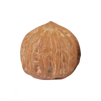 Noritake Text Plays Walnuts Collectible Unisex