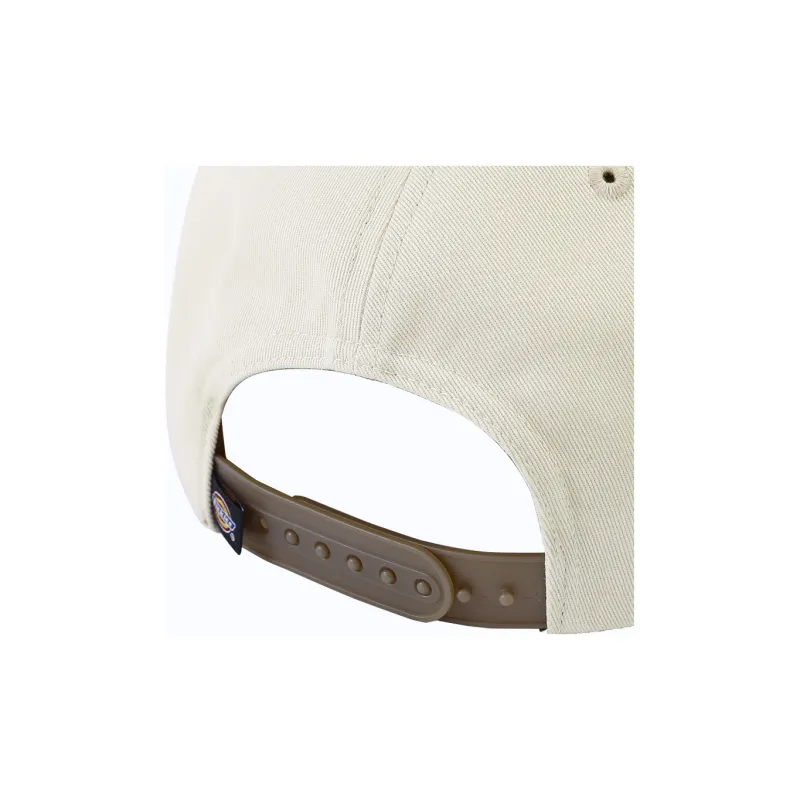 Dickies Cotton Baseball Caps Unisex-4