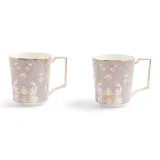 Luxurious Gray Pair Cups