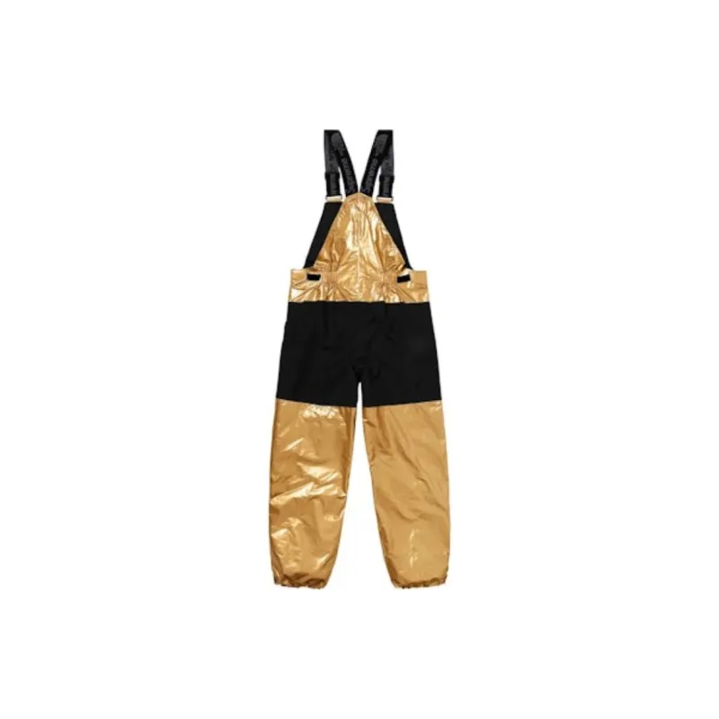 Supreme The North Face Metallic Mountain Bib Pants-1