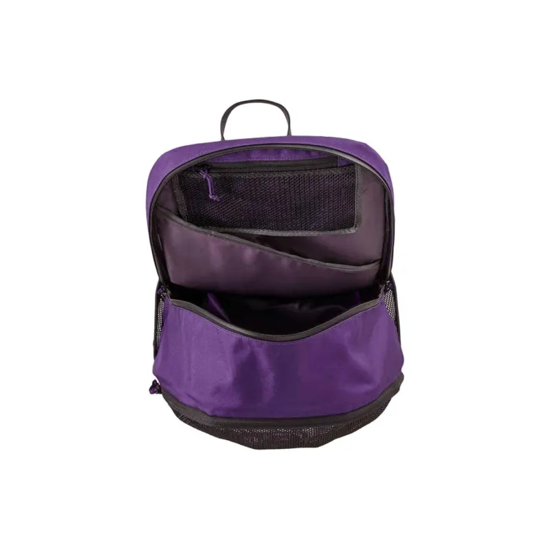 Patagonia Recycled Polyester Backpack Unisex Purple-1