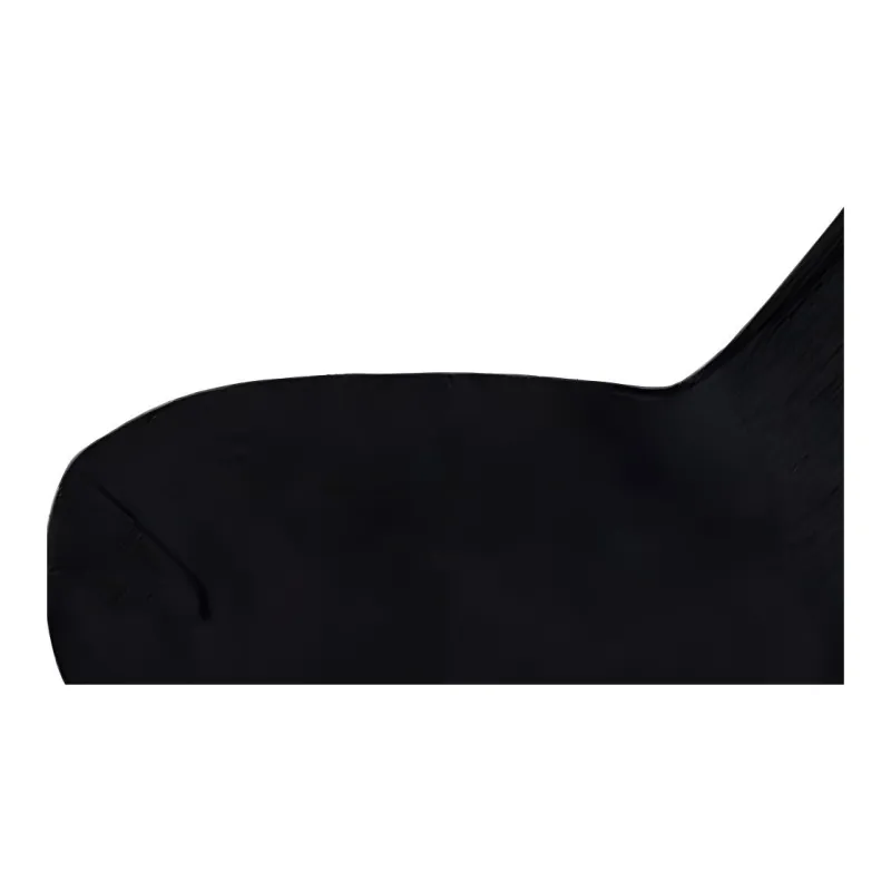 Polo Ralph Lauren Embroidered Pony Crew Socks Mid-Calf Socks Women's 1 Pack Black-3