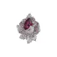 Rose Red (Orchid)
