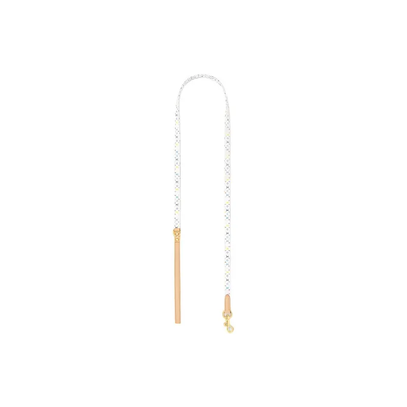 LOUIS VUITTON Leashes-0