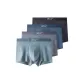 Dark Gray+Eyeshadow Gray+Gray Blue+Light Gray Blue