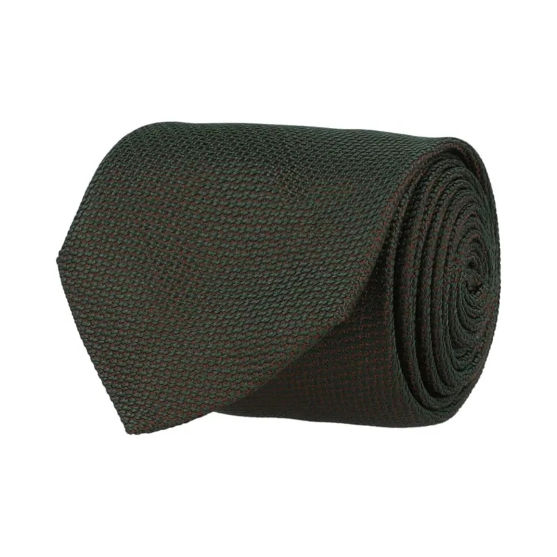 Ferragamo Printed Silk Tie-1