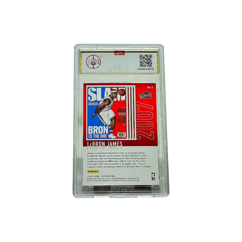 PANINI Graded Cards-1