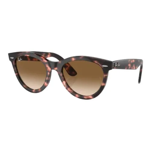 RayBan Cellulose Propionate Round Sunglasses Men's Tortoiseshell
