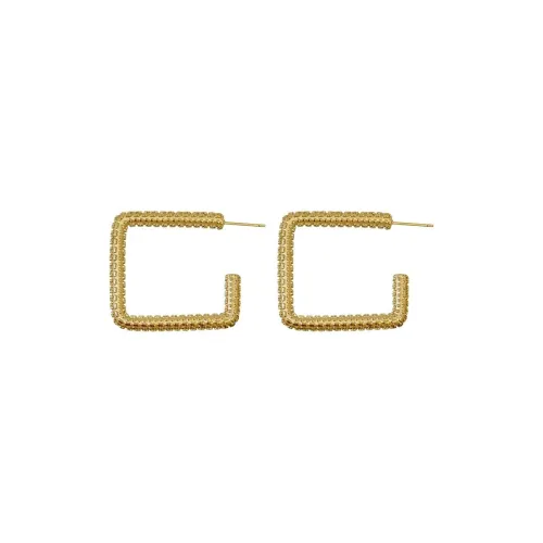 ANARTXY Surgical Steel Earrings Women's Gold/Silver