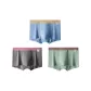 Light Blue+Gray+Green