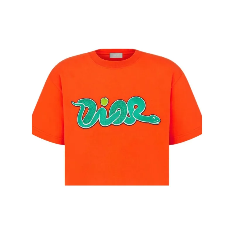 DIOR X Kaws Relaxed Fit T shirt-4