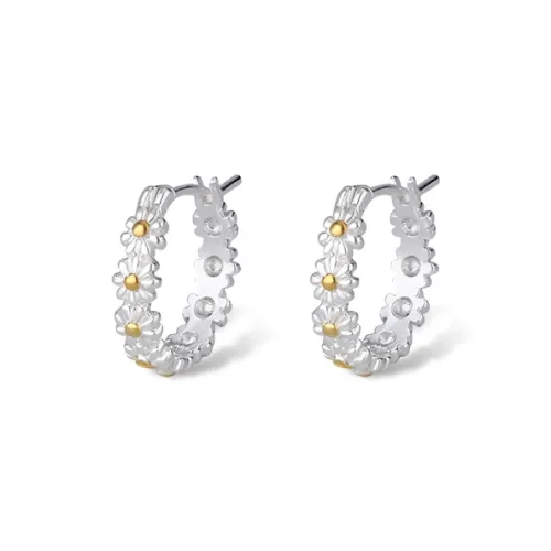 ETAHLOVE S925 Silver Earrings Women's