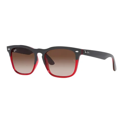 RayBan Steve Wayfarer frame Sunglasses