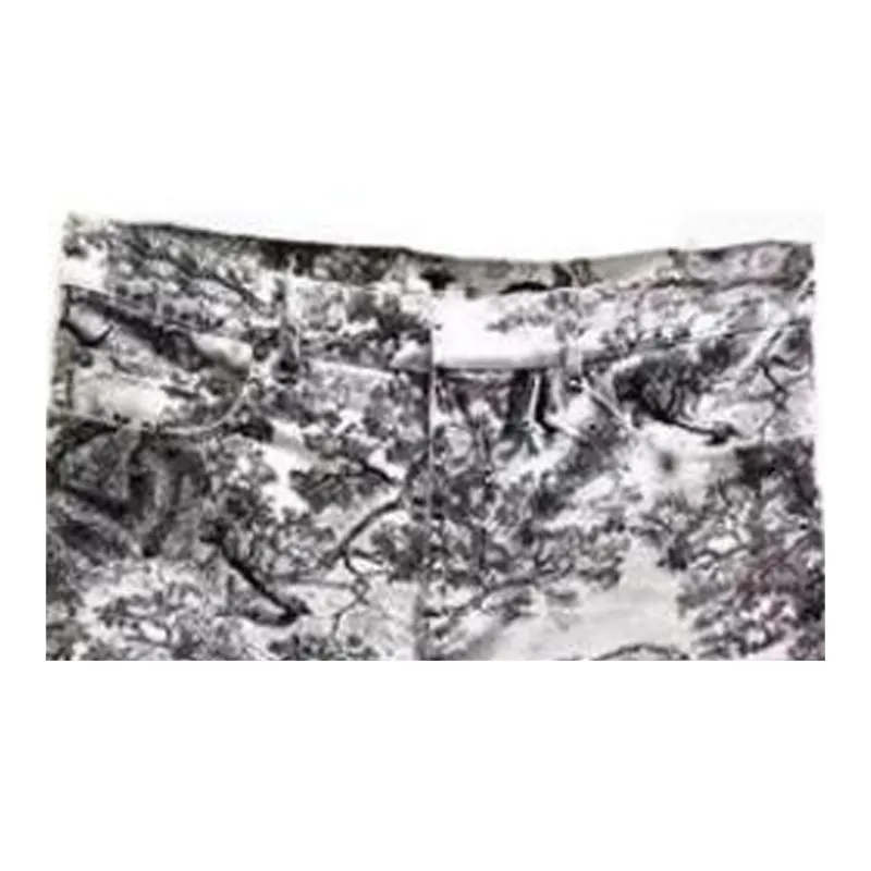 DIOR SS23 Casual Shorts Men's White-1
