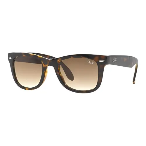 RayBan Wayfarer frame Sunglasses