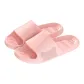 Pink-Bear Shadow