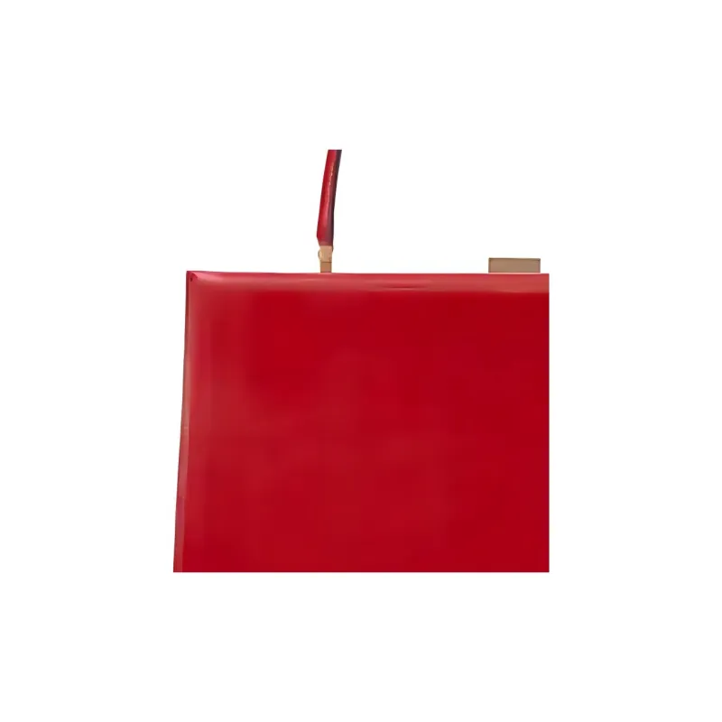 CELINE Clasp Calfskin One Shoulder Handbags Women's Crimson-1