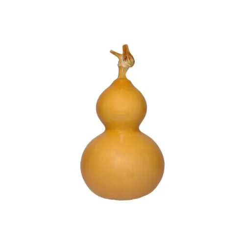 MY Gourd Handlebar Piece Unisex
