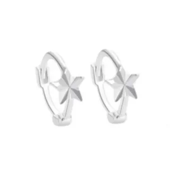 GUDUD S999 Fine Silver Earrings Unisex