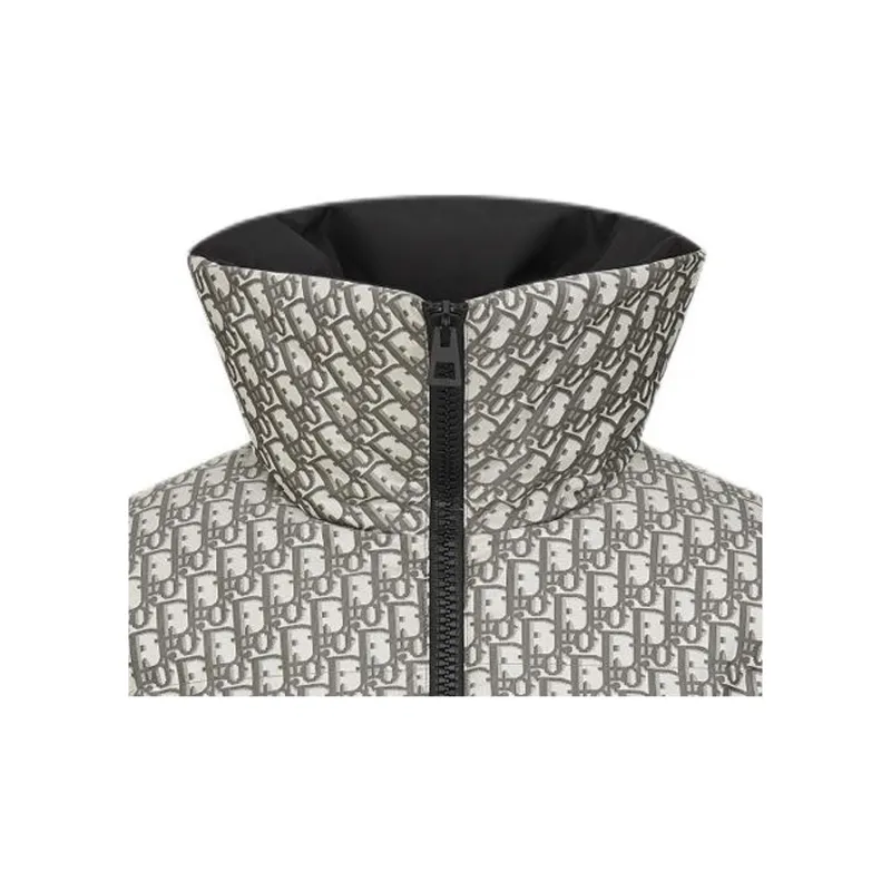 DIOR FW24 Puffer Jacket Women's Gray-3