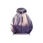 Aurora Purple