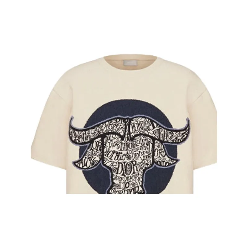 DIOR And Shawn Oversized T Shirt SS21-4