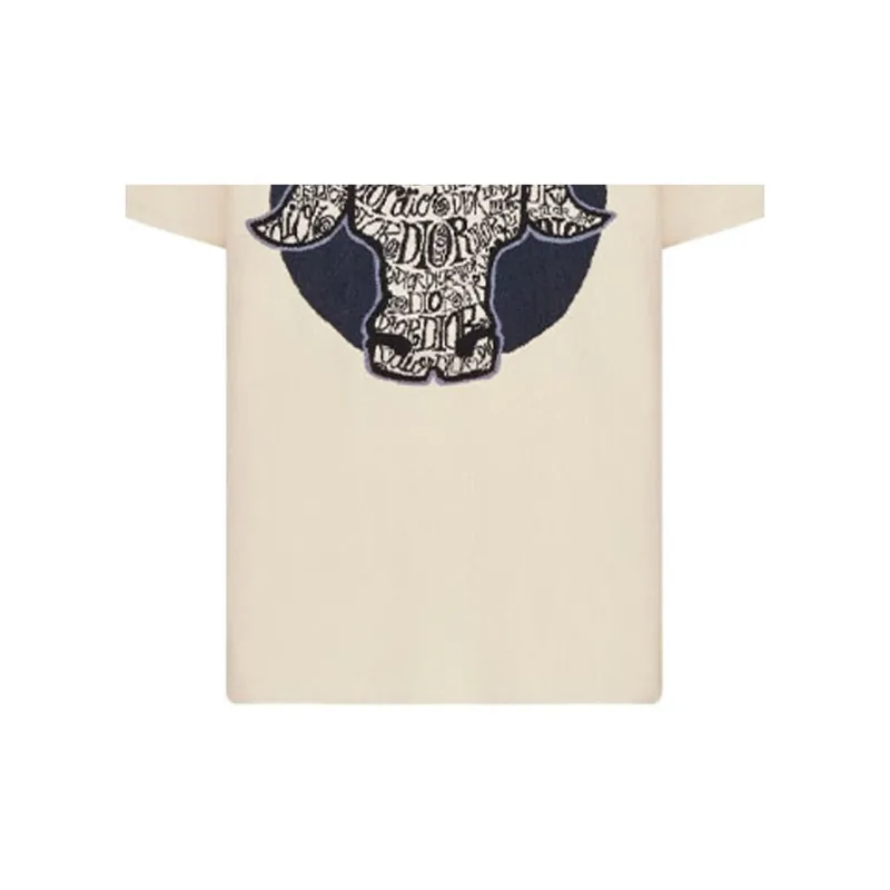 DIOR And Shawn Oversized T Shirt SS21-5