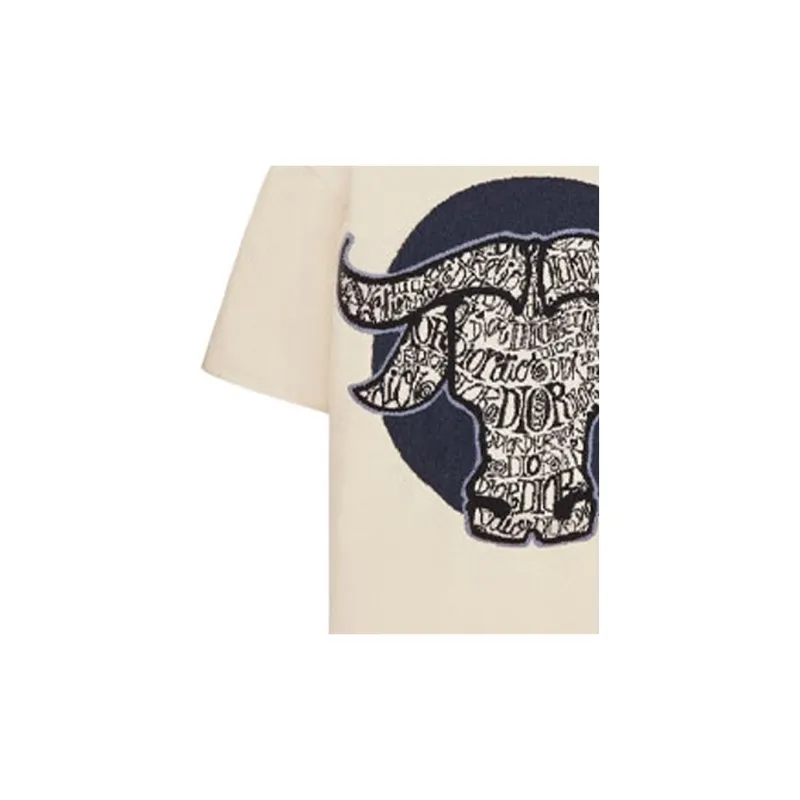 DIOR And Shawn Oversized T Shirt SS21-6